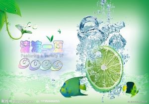 篮网逆转国王，努力地本.秒连续分就下